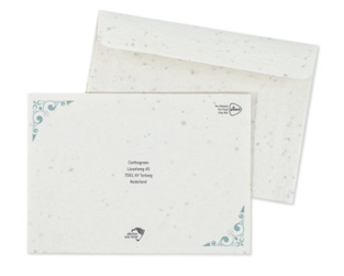 Postkarte aus Samenpapier