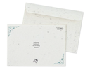 Postkarte aus Samenpapier